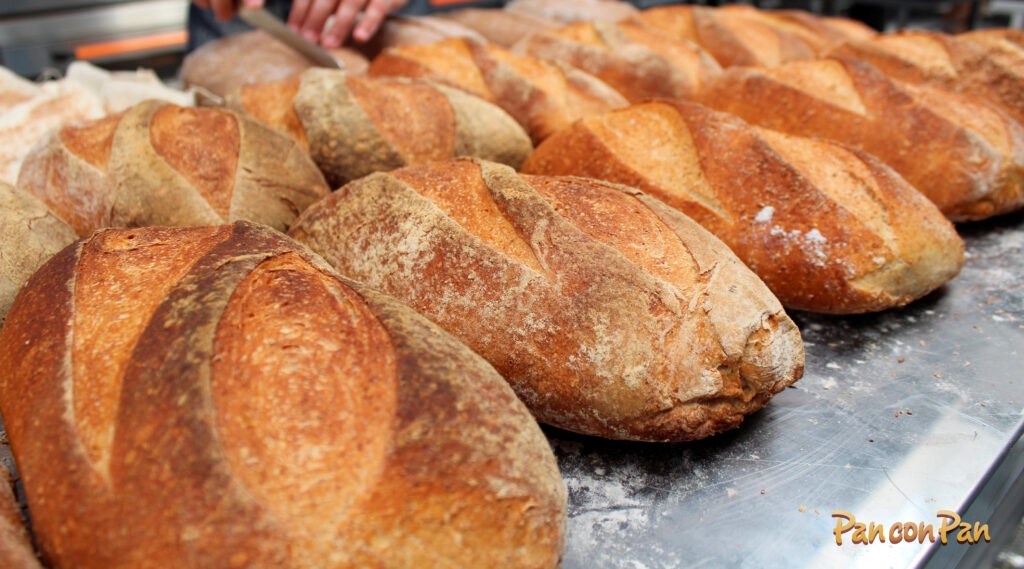 5 Beneficios De Las Camaras Fermentadoras - Pan con Pan